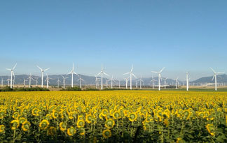Bild: Windkraft erneuerbare Energie