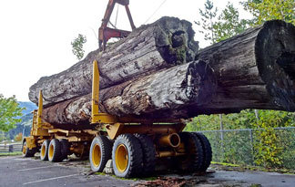 Bild: Holzheizung Lager Transportsystem