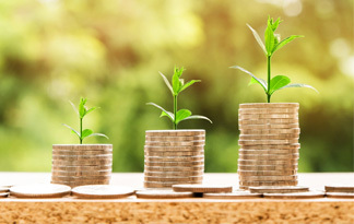 Die Hybridheizung ist eine zukunftsorientierte Investition Bild: Geldstücke mit Pflanzen