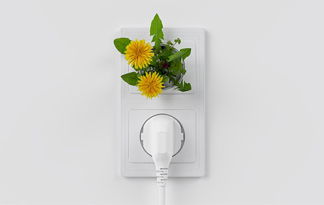 Die verschiedenen Energiesektoren müssen stärker miteinander verknüpft werden Bild: Pflanze wächst aus Steckdose